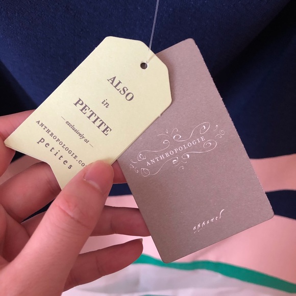 NWT Anthropologie Colour Block Sheer Panel Skirt - Picture 5 of 6